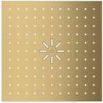 Grohe Ceiling Shower Cover Duo Fırçalanmış Serin Gün Doğumu - 104987GN00