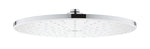 Grohe Rainshower Mono 310 Tepe Duşu 1 Akışlı